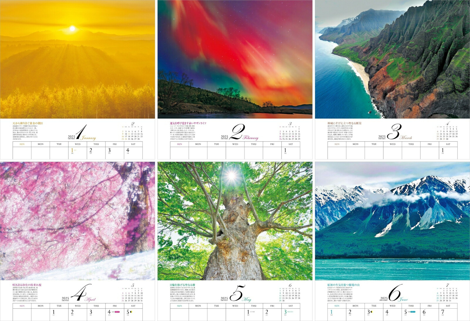 ����ͩ�ݥѥ���ݥåȥ���������2025�ˡʡΥ��������ϡ�