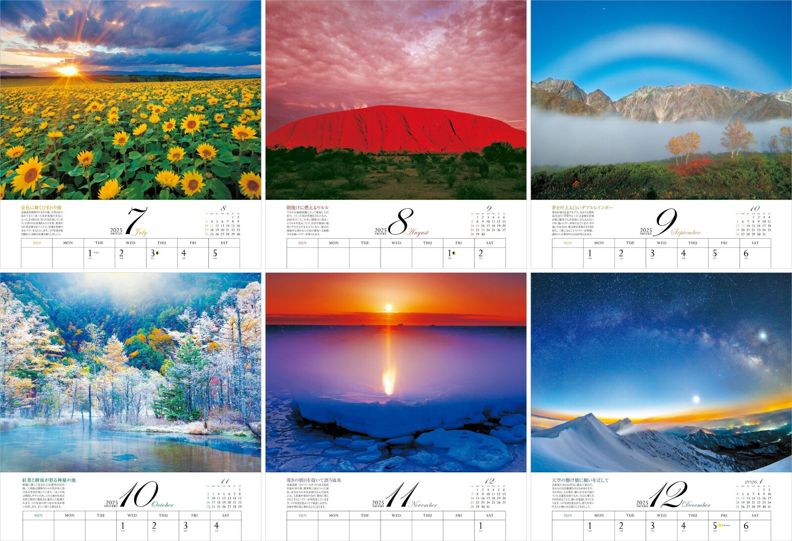 ����ͩ�ݥѥ���ݥåȥ���������2025�ˡʡΥ��������ϡ�