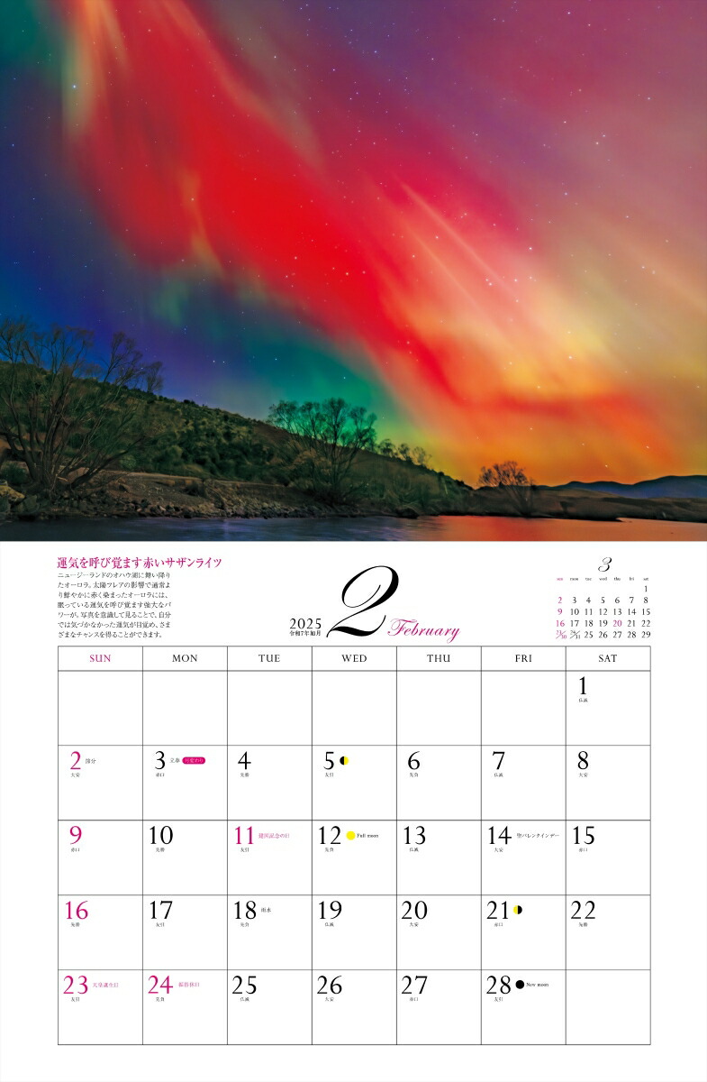 ����ͩ�ݥѥ���ݥåȥ���������2025�ˡʡΥ��������ϡ�