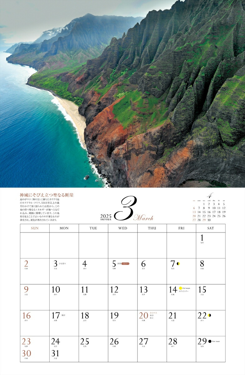 ����ͩ�ݥѥ���ݥåȥ���������2025�ˡʡΥ��������ϡ�