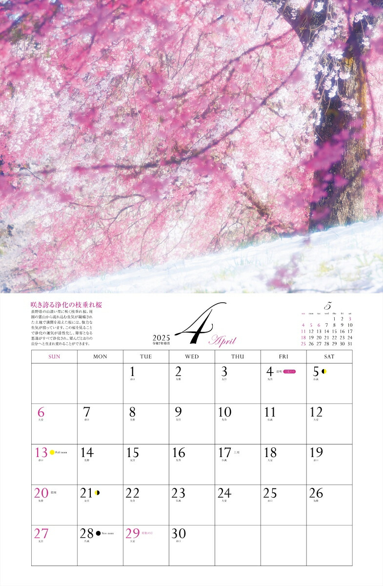 ����ͩ�ݥѥ���ݥåȥ���������2025�ˡʡΥ��������ϡ�