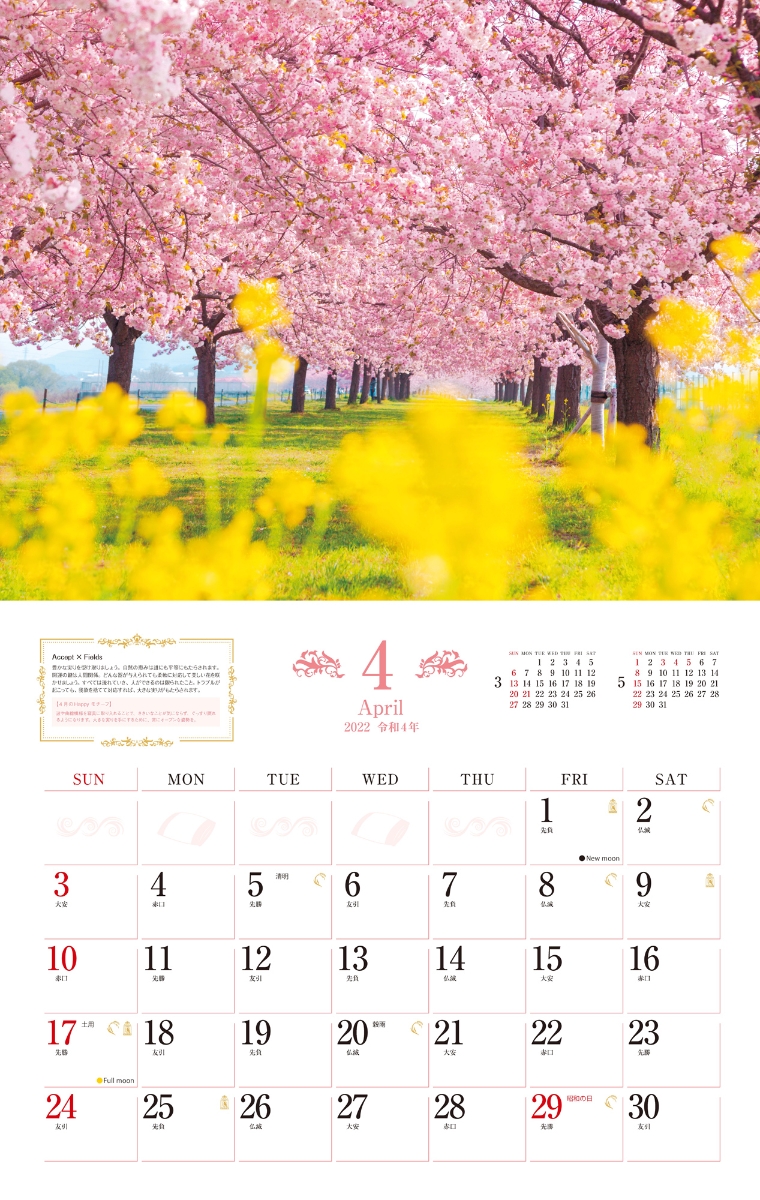 楽天ブックス 楽天ブックス限定特典 ユミリーの 幸せを呼ぶ風景 Calendar 22 特典データ 直居由美里氏監修 願いが叶うラッキーチャーム画像 本