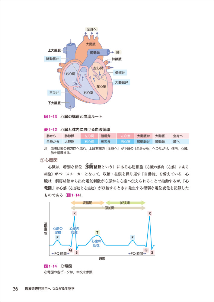 医療系専門科目へつながる生物学[冲永寛子]