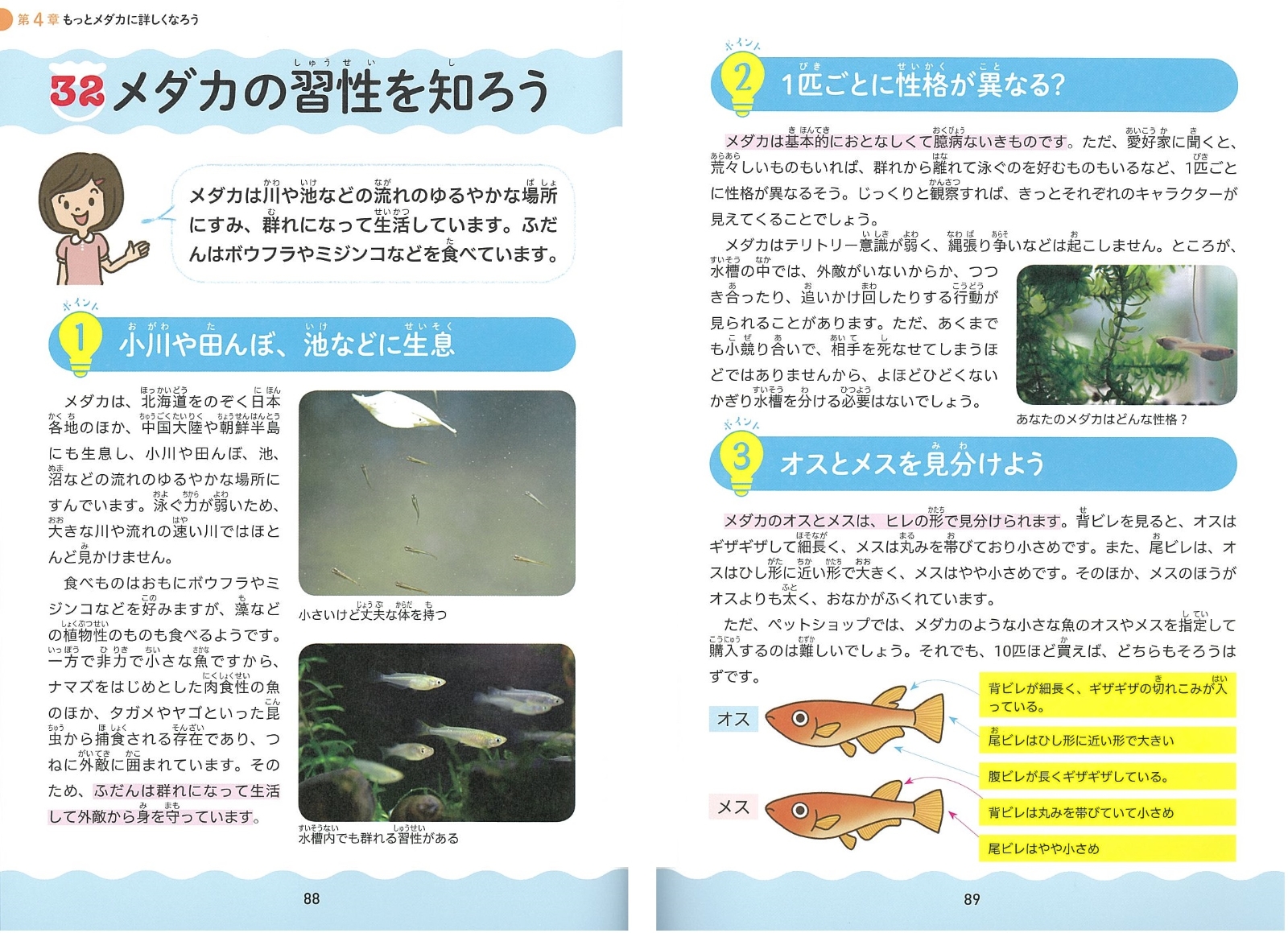 楽天ブックス 小学生でも安心 はじめての金魚 メダカ 正しい飼い方 育て方 徳永 久志 本