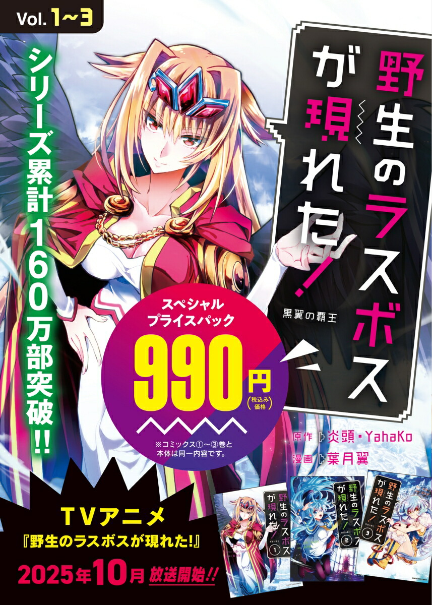 �����Υ饹�ܥ������줿��������Ʋ�1���3���ڥ����ץ饤���ѥå��ʥ����������������ߥå�����[�շ���]