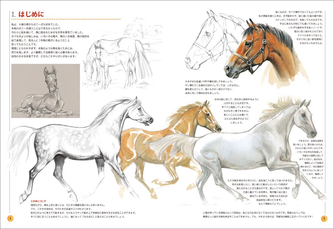 楽天ブックス ーhorse やさしい馬の描き方 骨格 生態 バランスがわかる ジェニファー ベル 本