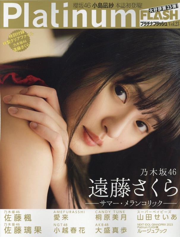 PlatinumFLASHVol．23（光文社ブックスvol.181）[エンタテインメント編集部]