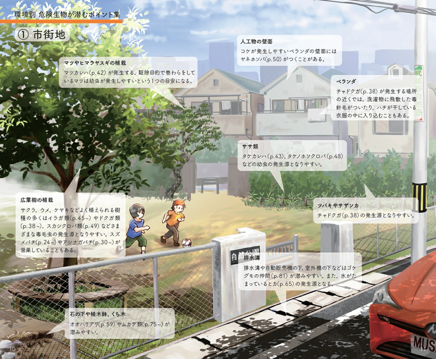 ʪեȥɥϥɥ֥åΦ[NPOˡ¢]