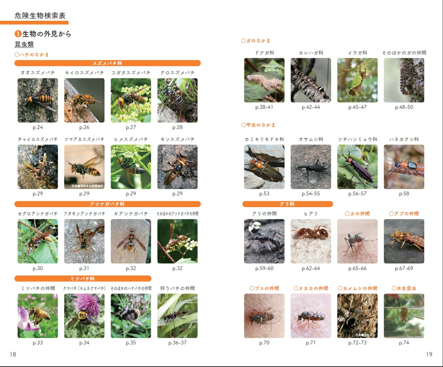 ʪեȥɥϥɥ֥åΦ[NPOˡ¢]