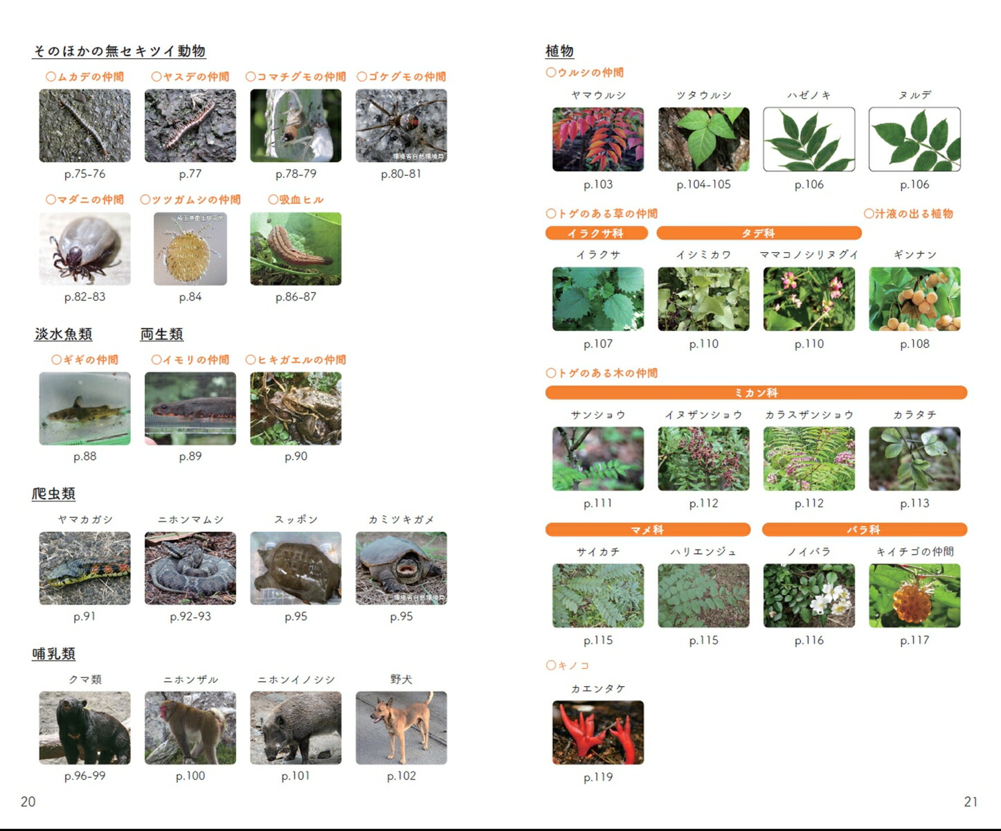 ʪեȥɥϥɥ֥åΦ[NPOˡ¢]