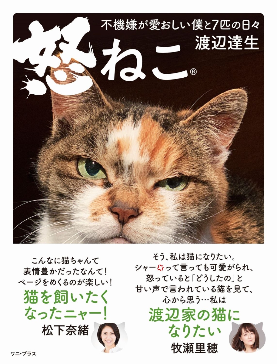 楽天ブックス: 怒ねこ - 不機嫌が愛おしい僕と7匹の日々 - - 渡辺 達生