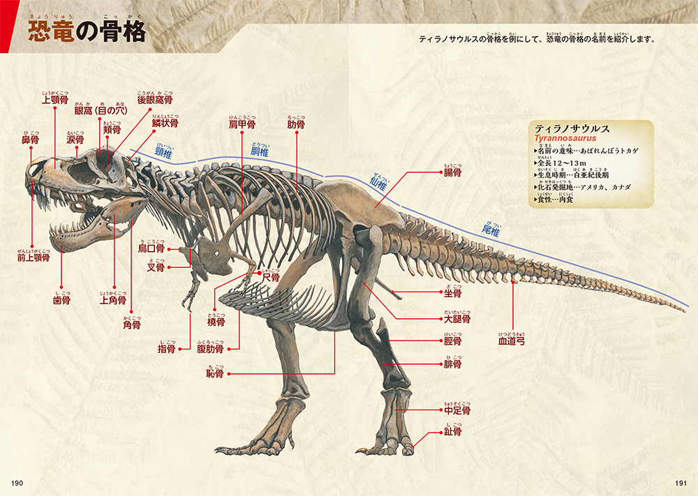 楽天ブックス 恐竜学 真鍋真 本