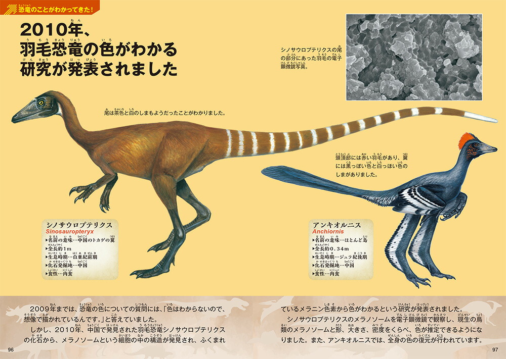 楽天ブックス 恐竜学 真鍋真 本