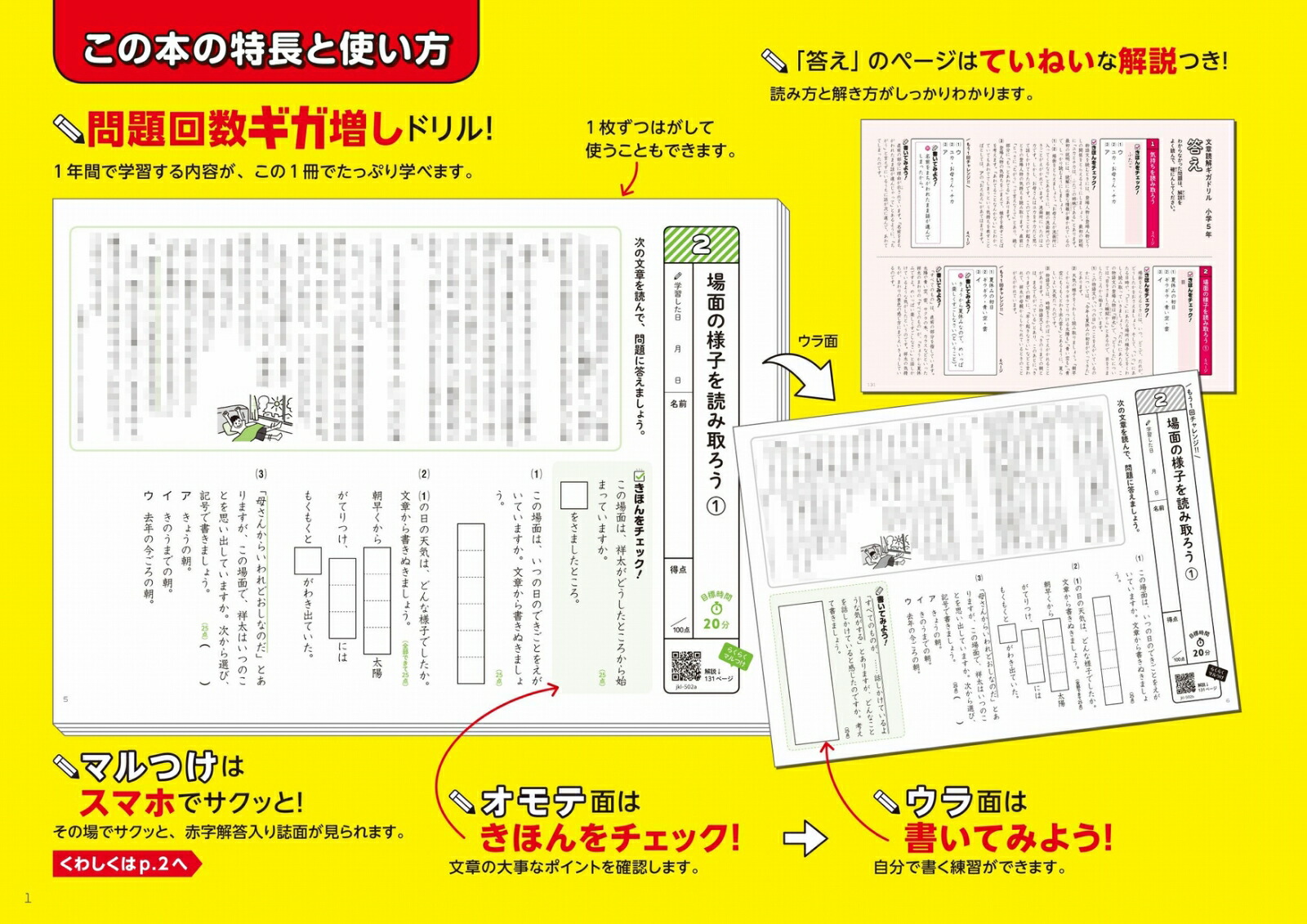 ʸɲ򥮥ɥ뾮5ǯ[ʸƲԽ]