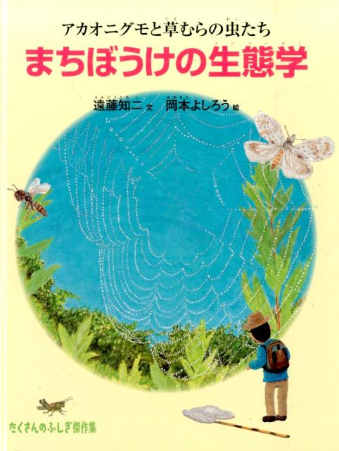 まちぼうけの生態学アカオニグモと草むらの虫たち（たくさんのふしぎ傑作集）[遠藤知二]