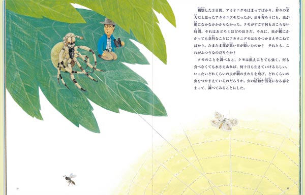まちぼうけの生態学アカオニグモと草むらの虫たち（たくさんのふしぎ傑作集）[遠藤知二]