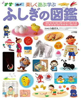 楽天市場】楽しく遊ぶ学ぶきせつの図鑑 はるなつあきふゆ【1000