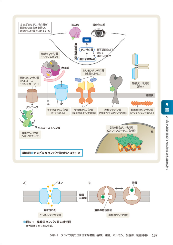 ���ä���ؤ���ʪ�ء���˦��ʪ����5��[���ľ�]
