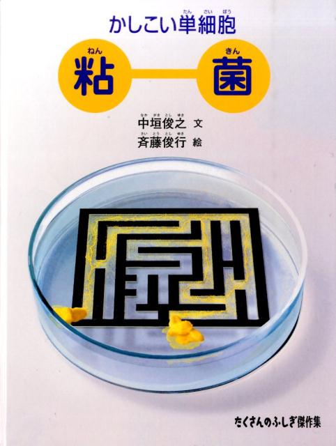 ��������ñ��˦Ǵ�ݡʤ�������Τդ�������[�����Ƿ]