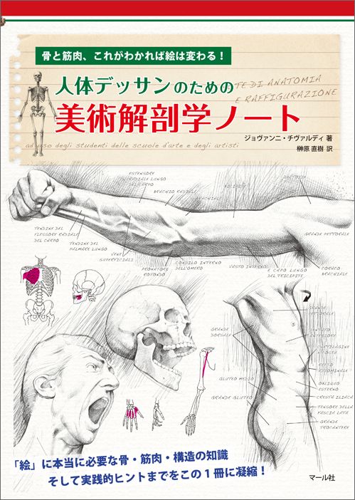 楽天ブックス 人体デッサンのための 美術解剖学ノート 骨と筋肉 これがわかれば絵は変わる ジョヴァンニチヴァルディ 本