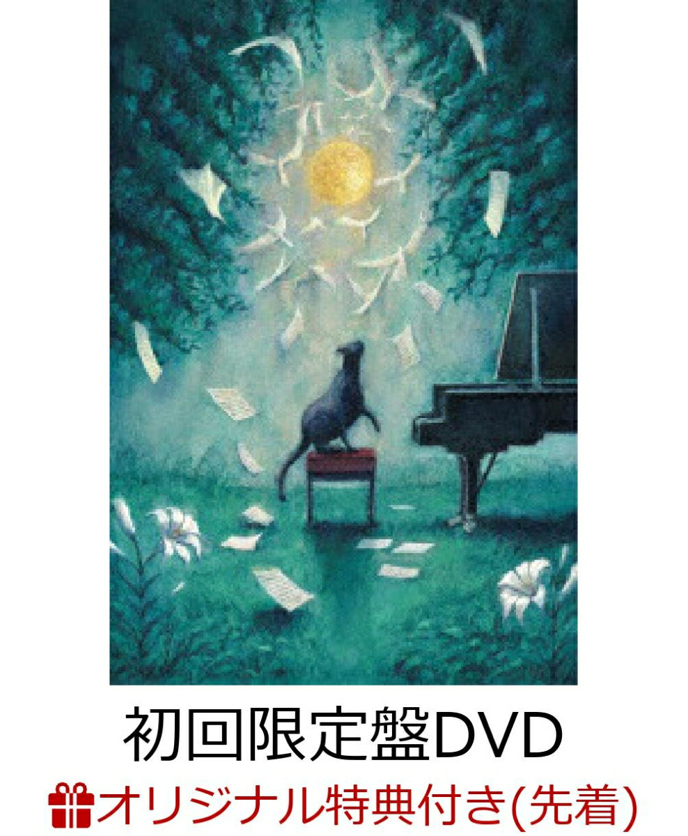 人気 ライブ dvd スマホ