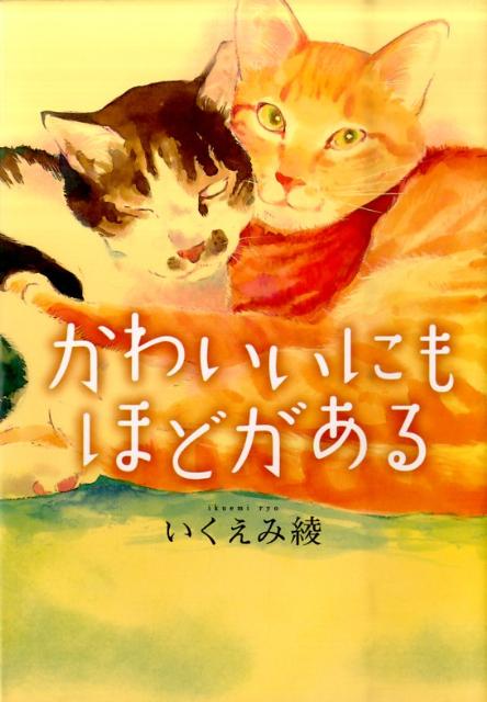 襤ˤۤɤʥۡॳߥå[߰]
