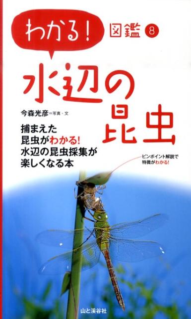 楽天ブックス 水辺の昆虫 今森光彦 本