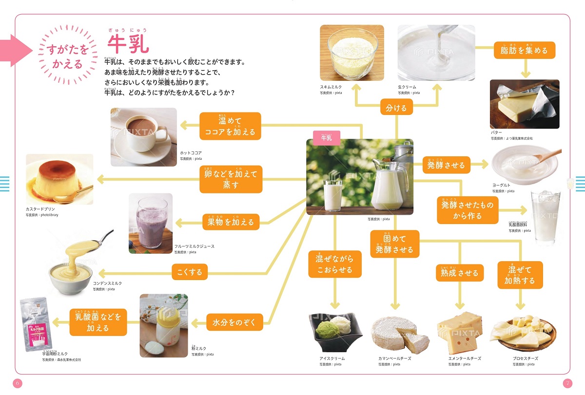 牛乳・魚（食べ物のひみつを教えます）[安達修二]