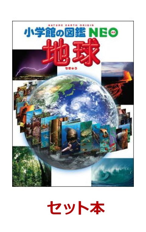 楽天ブックス 小学館の図鑑neo 夏おすすめ 8冊セット 池内 了 本