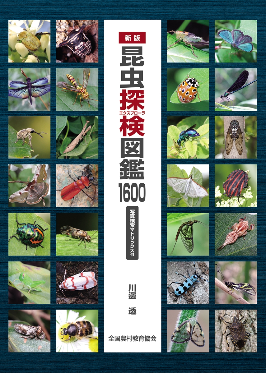 新版　昆虫探検図鑑1600画像