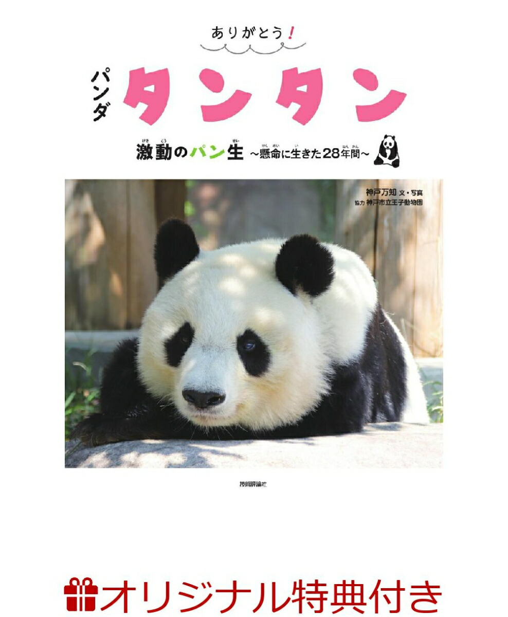 【楽天ブックス限定特典】ありがとう！　パンダ　タンタン　激動のパン生　〜懸命に生きた28年間〜(7×7サイズアクリルスタンド「バレリーナタンタン（23歳）」) 画像1