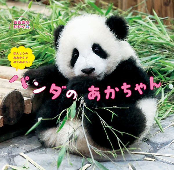 楽天ブックス: パンダのあかちゃん - ほんとうのおおきさでみてみよう! - 今泉 忠明 - 9784865491968 : 本 楽天ブックス: パンダのあかちゃん - ほんとうのおおきさでみてみよう! - 今泉 忠明 - 9784865491968 : 本