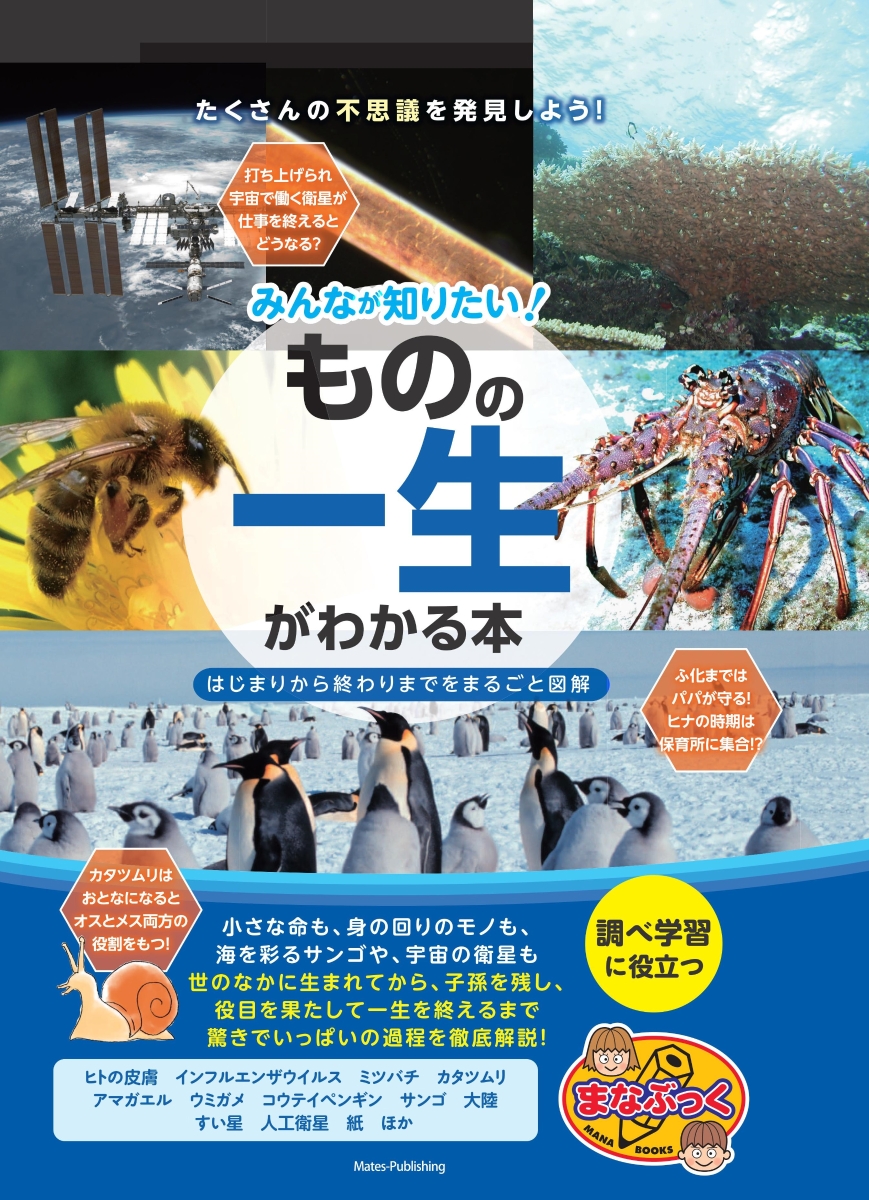 楽天ブックス みんなが知りたい ものの一生 がわかる本 はじまりから終わりまでをまるごと図解 こどもラーニング編集室 本