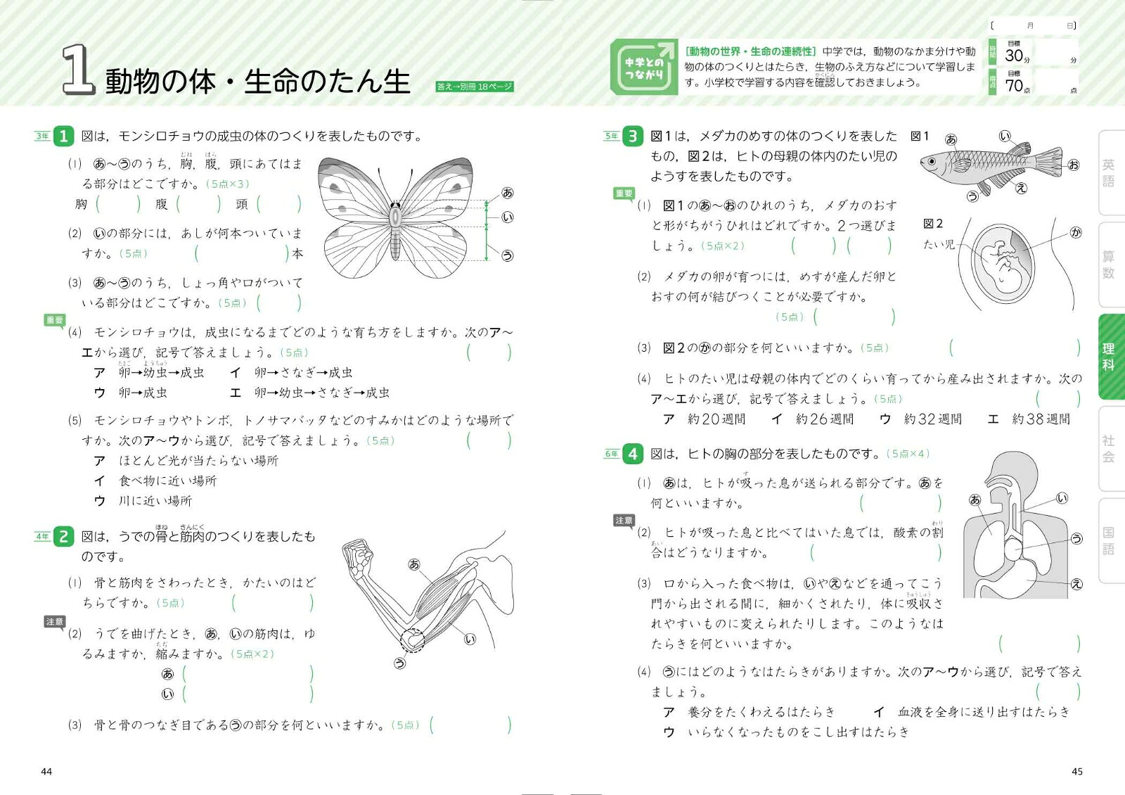 中学入学準備全科コンプリート小学全学年[文英堂編集部]