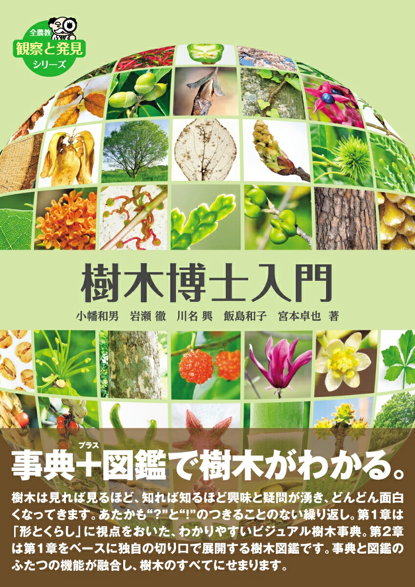 樹木博士入門（全農教観察と発見シリーズ）[小幡和男]