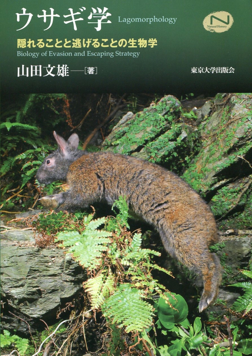 楽天ブックス ウサギ学 隠れることと逃げることの生物学 山田 文雄 本