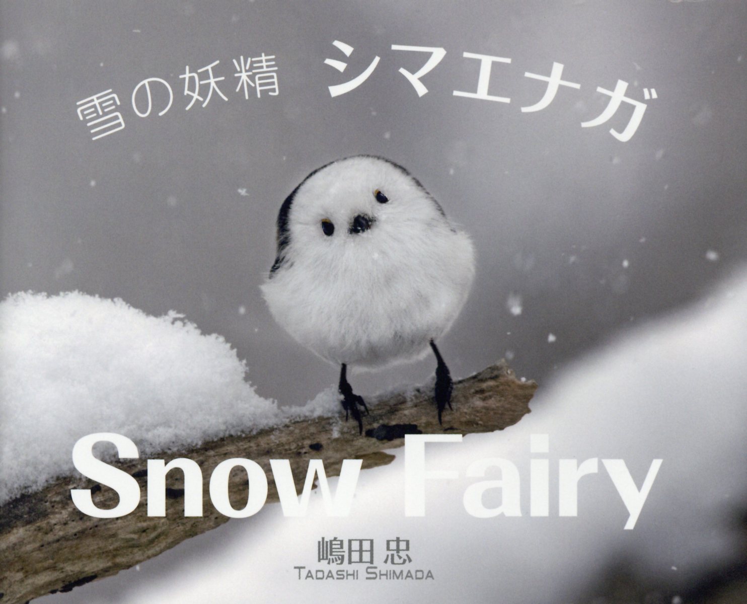 楽天ブックス 雪の妖精 シマエナガ Snow Fairy 嶋田忠 本