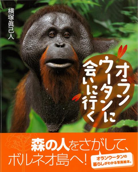 楽天ブックス バーゲン本 オランウータンに会いに行く 横塚 眞己人 本