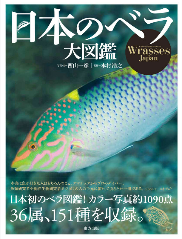 日本のベラ大図鑑 西山一彦