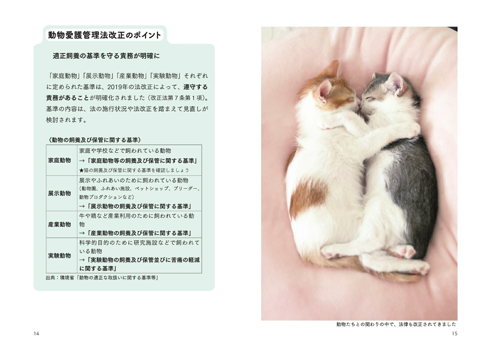 楽天ブックス 猫からのおねがい 猫も人も幸せになれる迎え方 暮らし 服部 幸 本