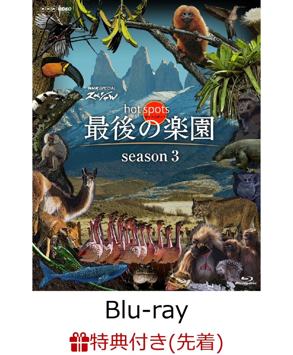 楽天ブックス: 【先着特典】NHKスペシャル ホットスポット 最後の楽園