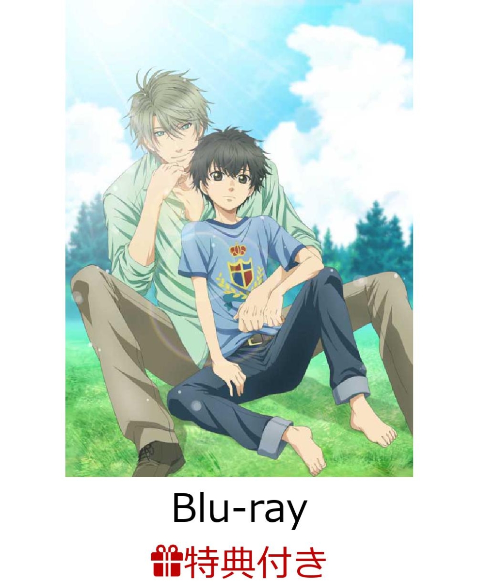 楽天ブックス: 【缶バッジセット付】SUPER LOVERS 第1巻 Blu-ray限定版