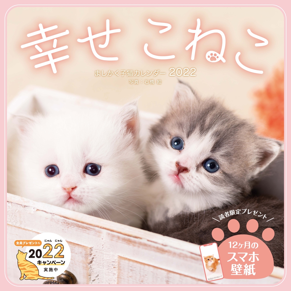 楽天ブックス ましかく子猫カレンダー幸せこねこカレンダー 2022 9784295012023 本