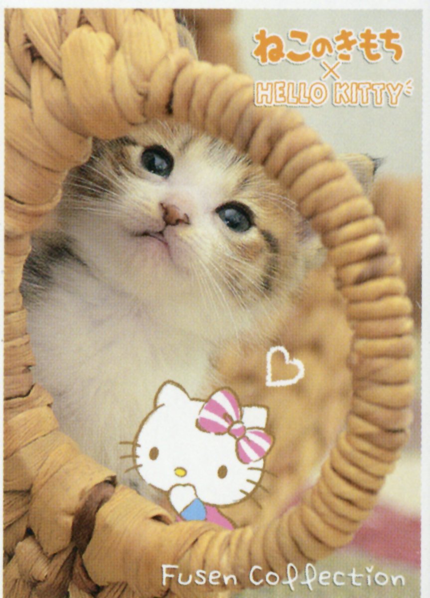 ͤΤߥϥƥդ󥳥쥯3ˡʡΥХ饨ƥϡ