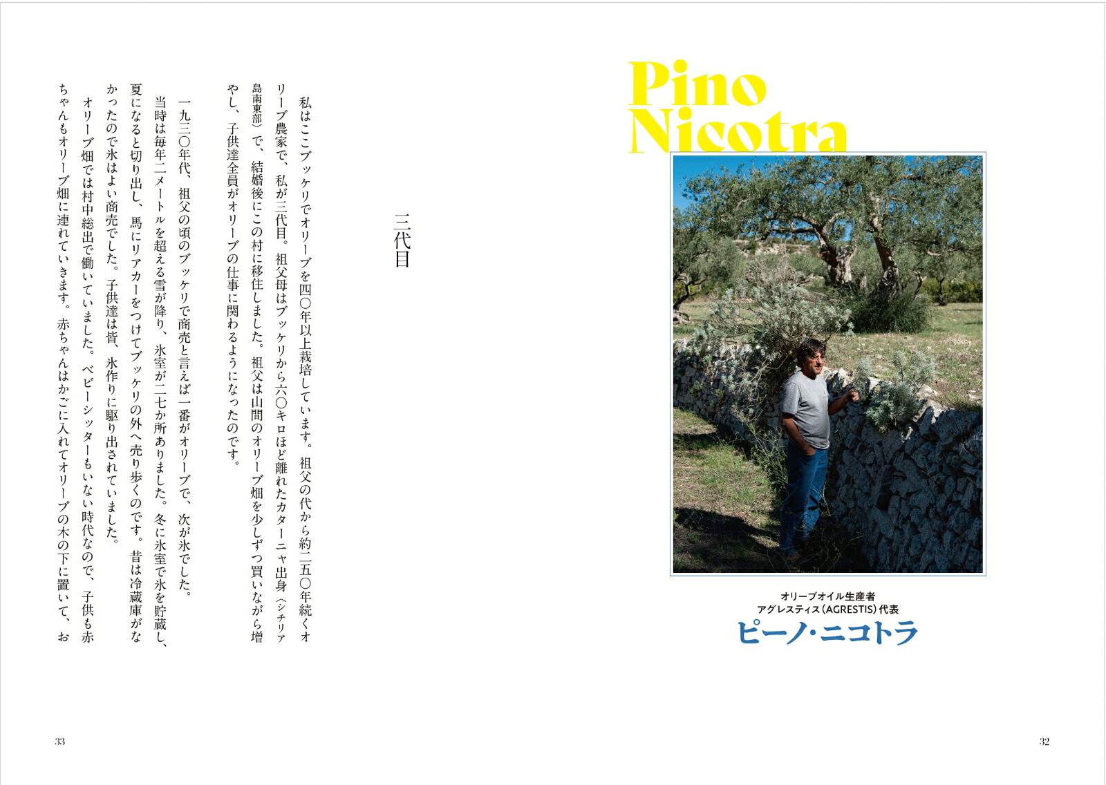 オリーブオイルと作り手たち[山田美知世]