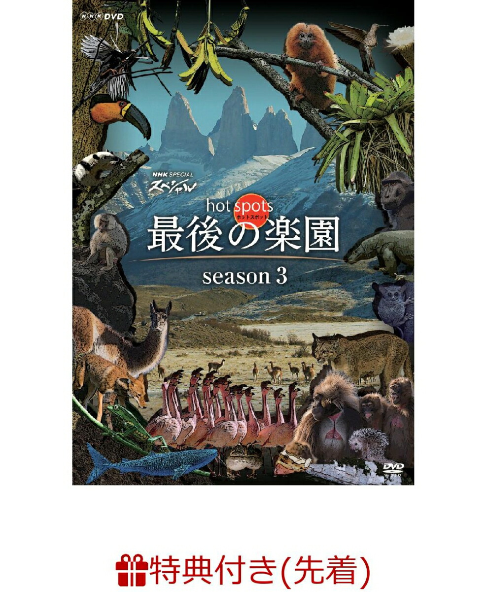 高質で安価 先着特典 Nhkスペシャル ホットスポット 最後の楽園 Season3dvd Box クリアファイル 特典 安心の定価販売 Www Nationalmuseum Gov Ph