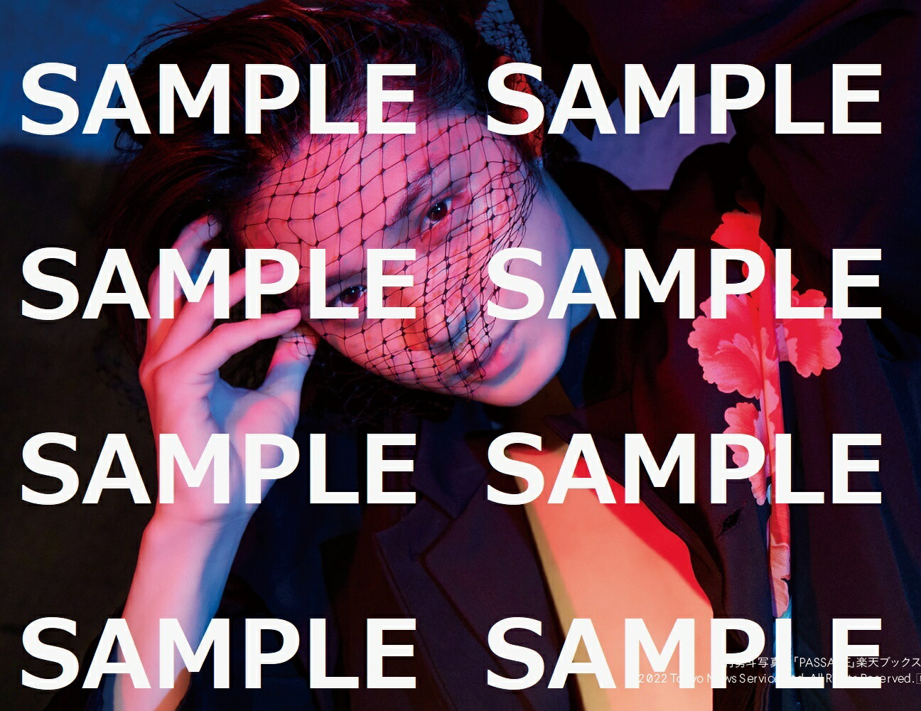 �ڳ�ŷ�֥å���������ŵ�۰�¼ͦ�ͼ̿�����PASSAGE��(��¼ͦ�����̿�3�祻�å�)