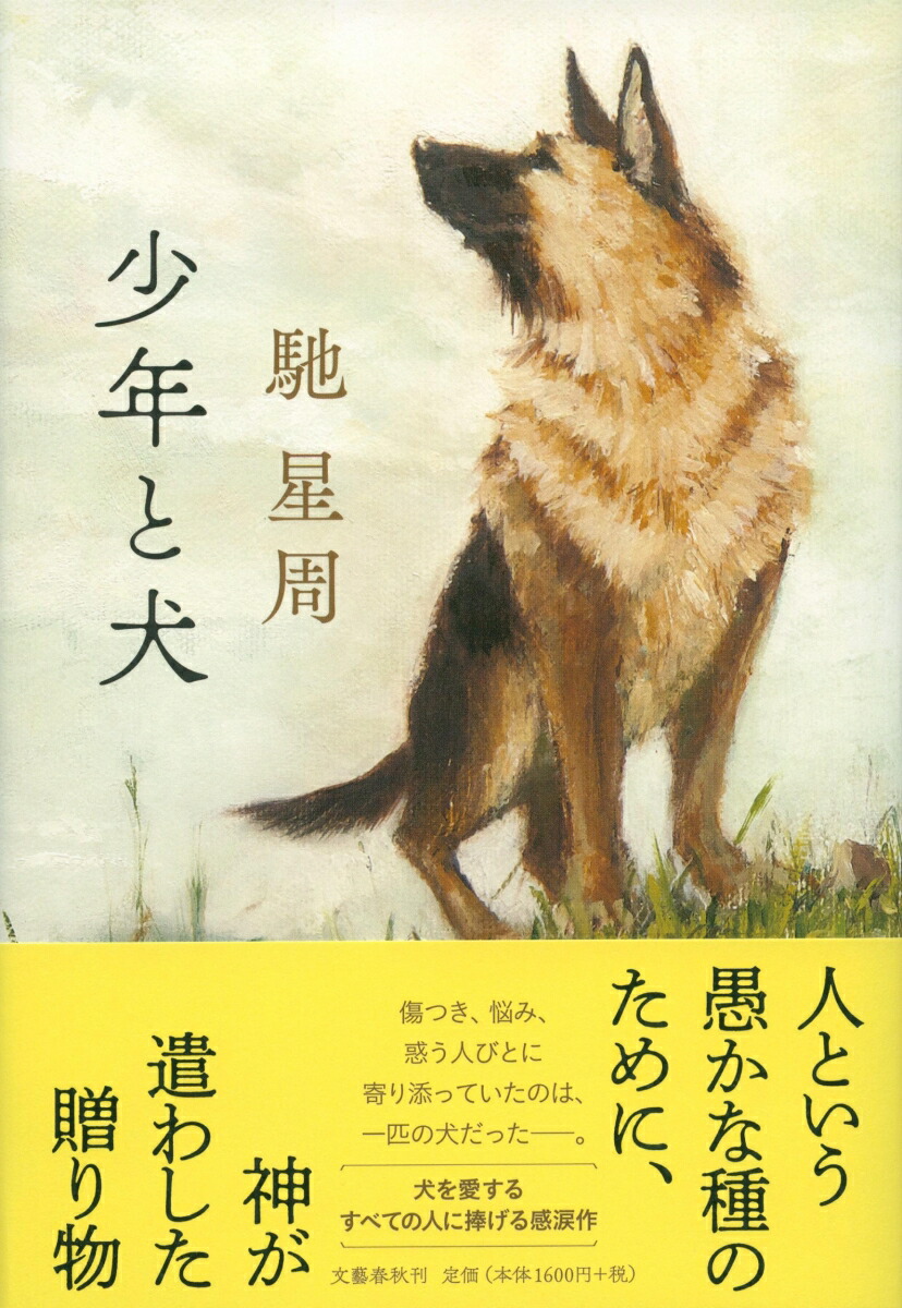 ǯȸ[]