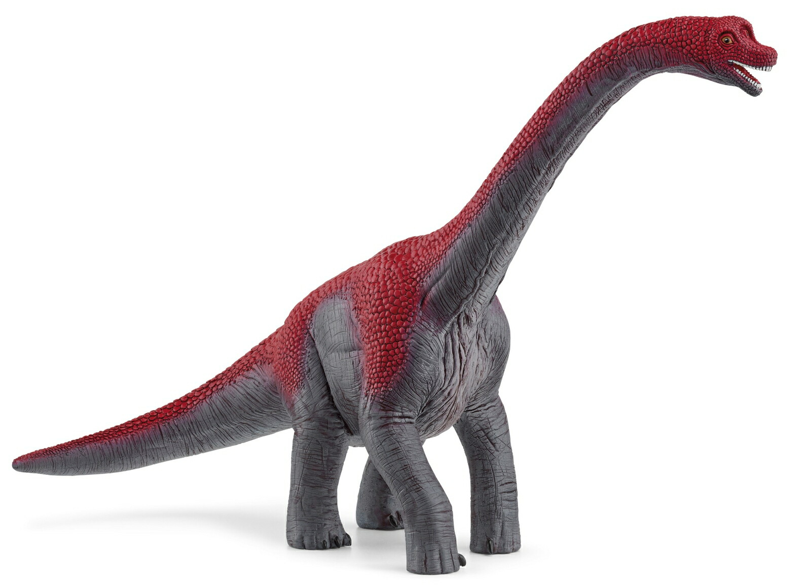 楽天市場】シュライヒ 恐竜 schleich 14586 シュライヒ カルノ