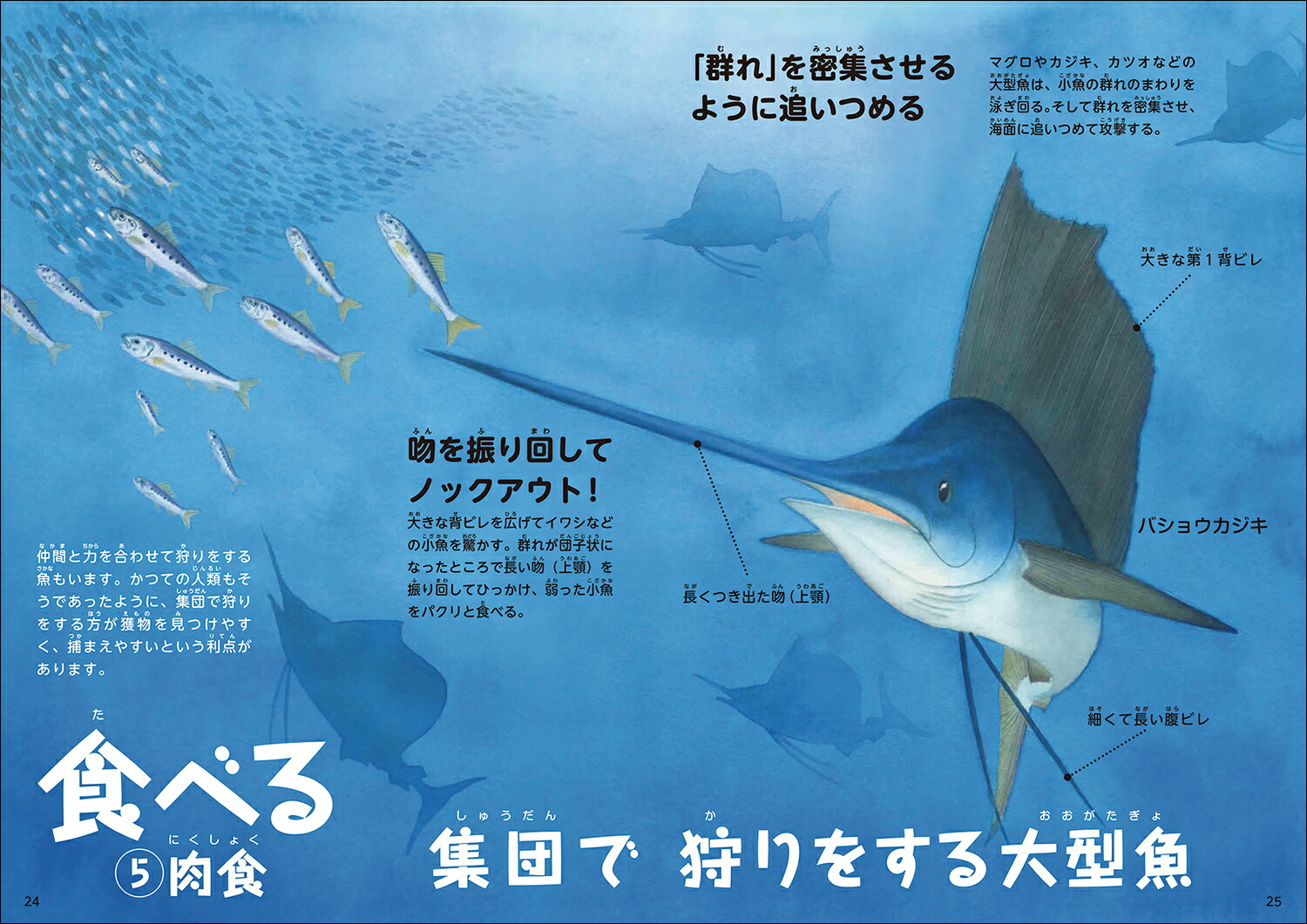 楽天ブックス 魚の教え 上巻 食べて生きる 早武忠利 本